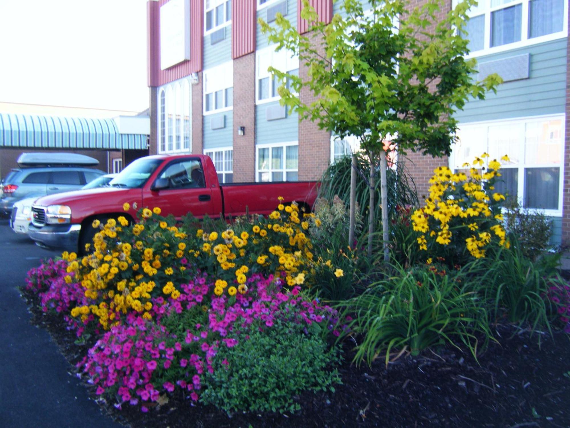 Claymore Inn And Suites Antigonish Exterior foto